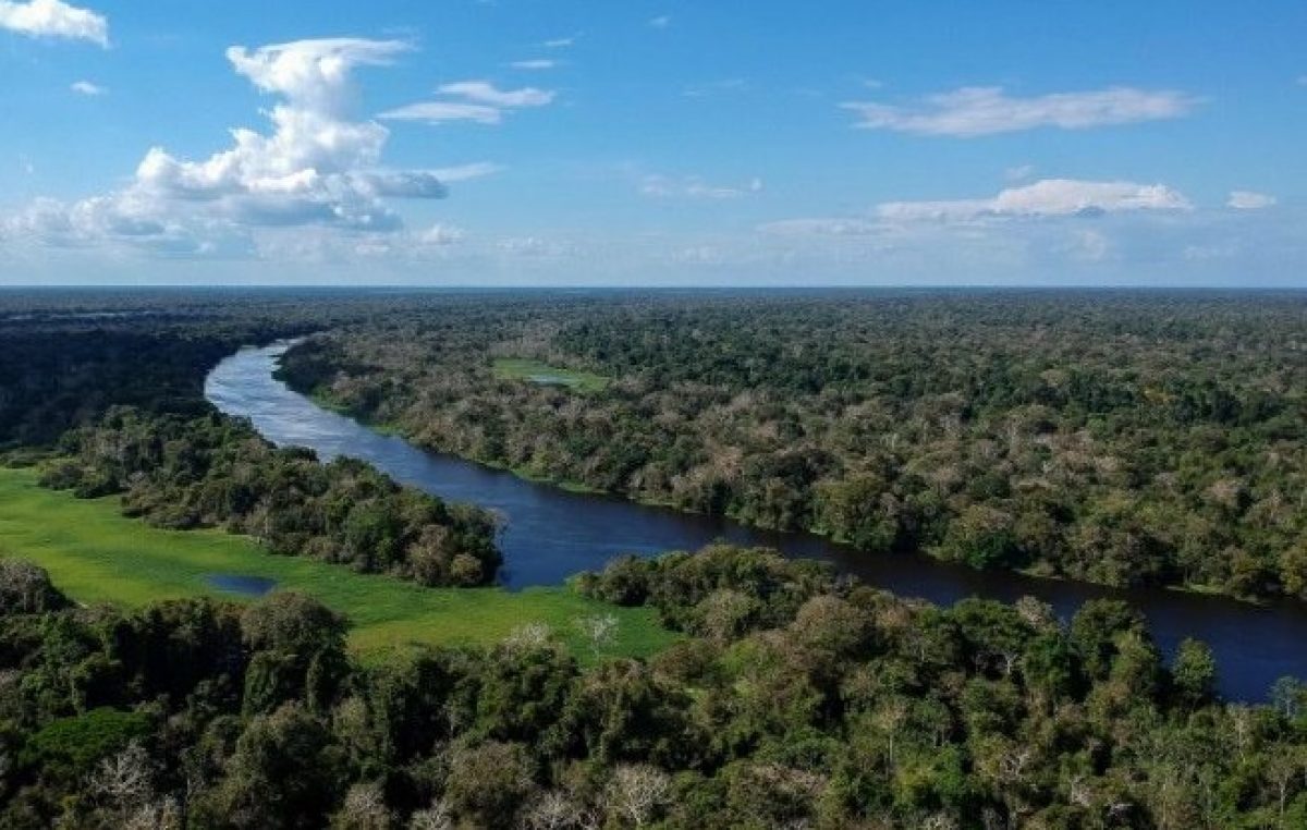 De 25 a 27/02, acontece no Vaticano seminário em vista do Sínodo para a Pan-Amazônia