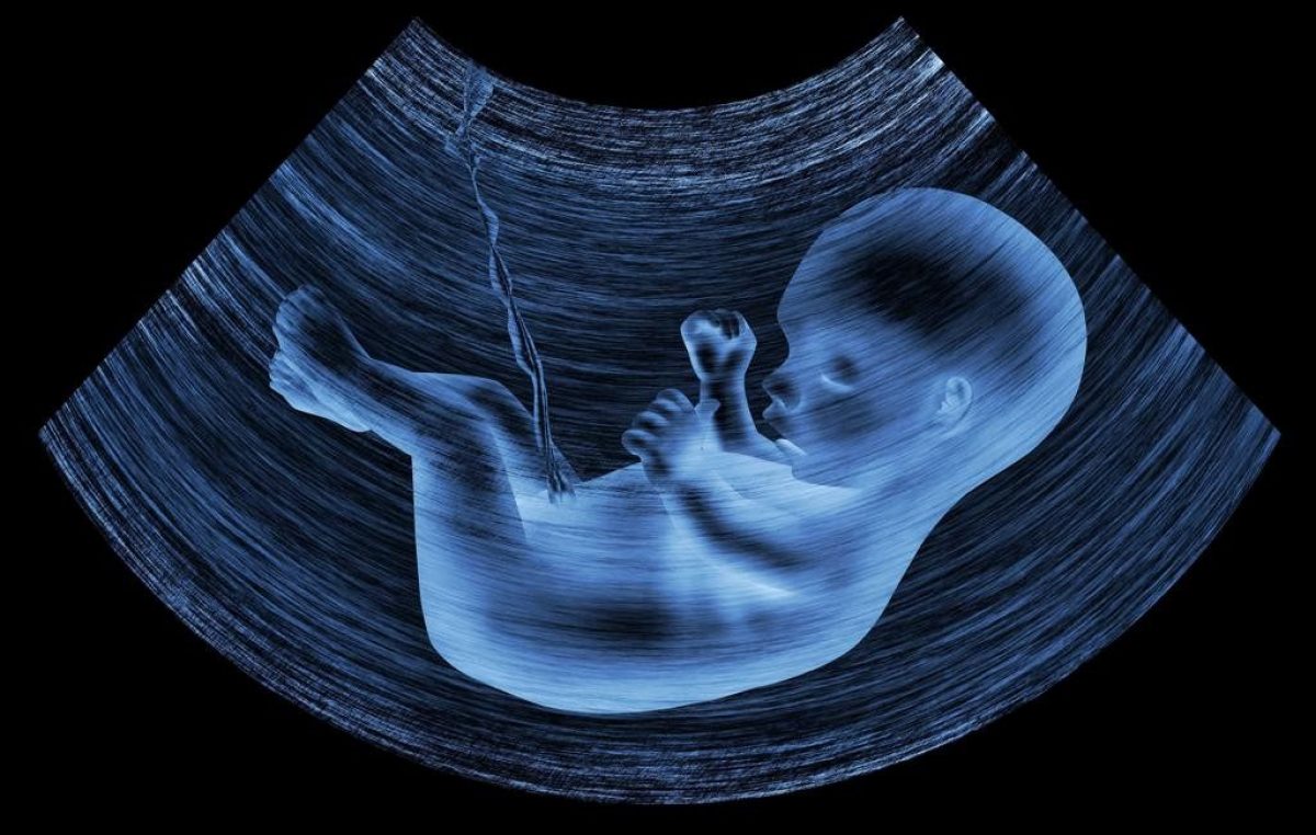 Posição da CNBB em defesa incondicional da vida humana e contra o aborto
