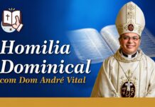 XIV Domingo Tempo Comum: Mt 11,25-30 – A sabedoria da oração dos humildes