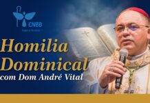 20º Domingo Tempo Comum (Mt 15,21-28) – A fé não deixa ir embora!