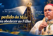 Solenidade de N. Sra. Aparecida (Jo 2,1-11) – O pedido da Mãe para obedecer ao Filho